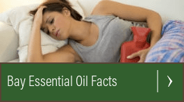 how to use bay leaf essential oil
